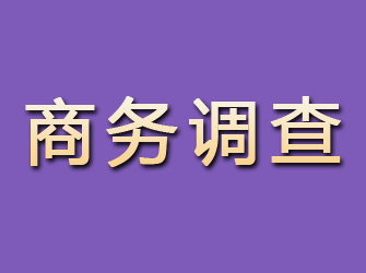 内江商务调查