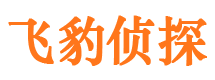 内江婚外情调查取证